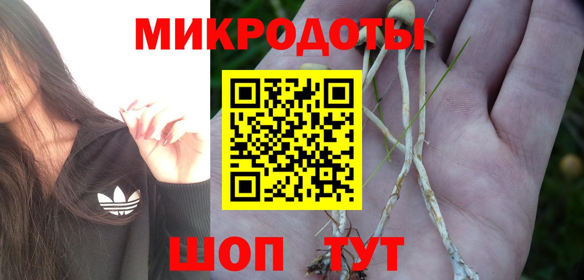 Геленджик  Псилоцибиновые грибы Magic Shrooms  купить  сайты  Вход с VPN 